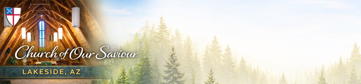 Church of Our Saviour